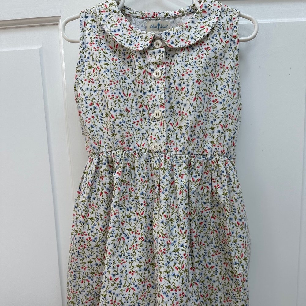Olive Juice Peter Pan Dress